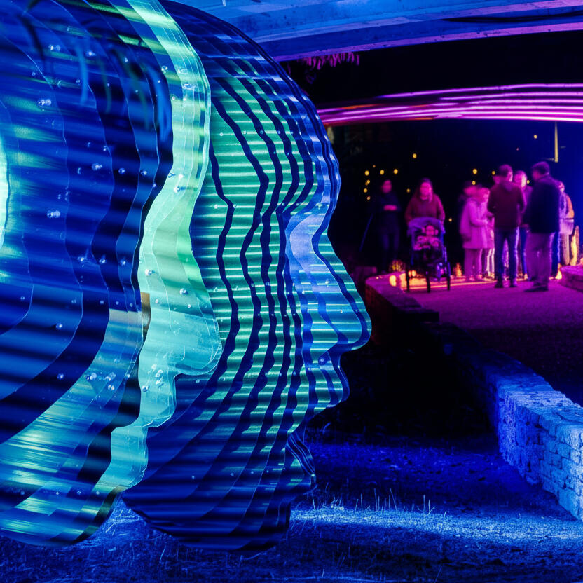 Babble at Creek Show